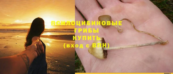 mdpv Ладушкин