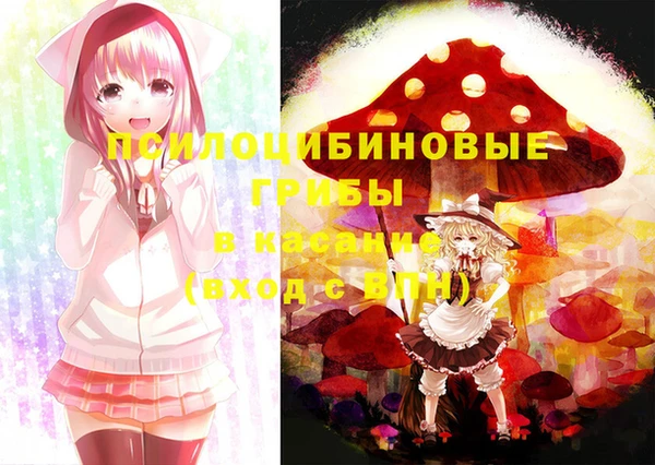 дживик Лагань