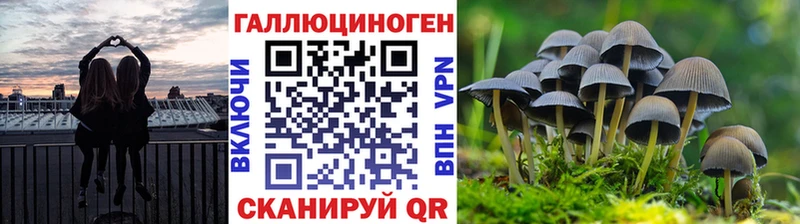 сколько стоит  Поронайск  Галлюциногенные грибы MAGIC MUSHROOMS 